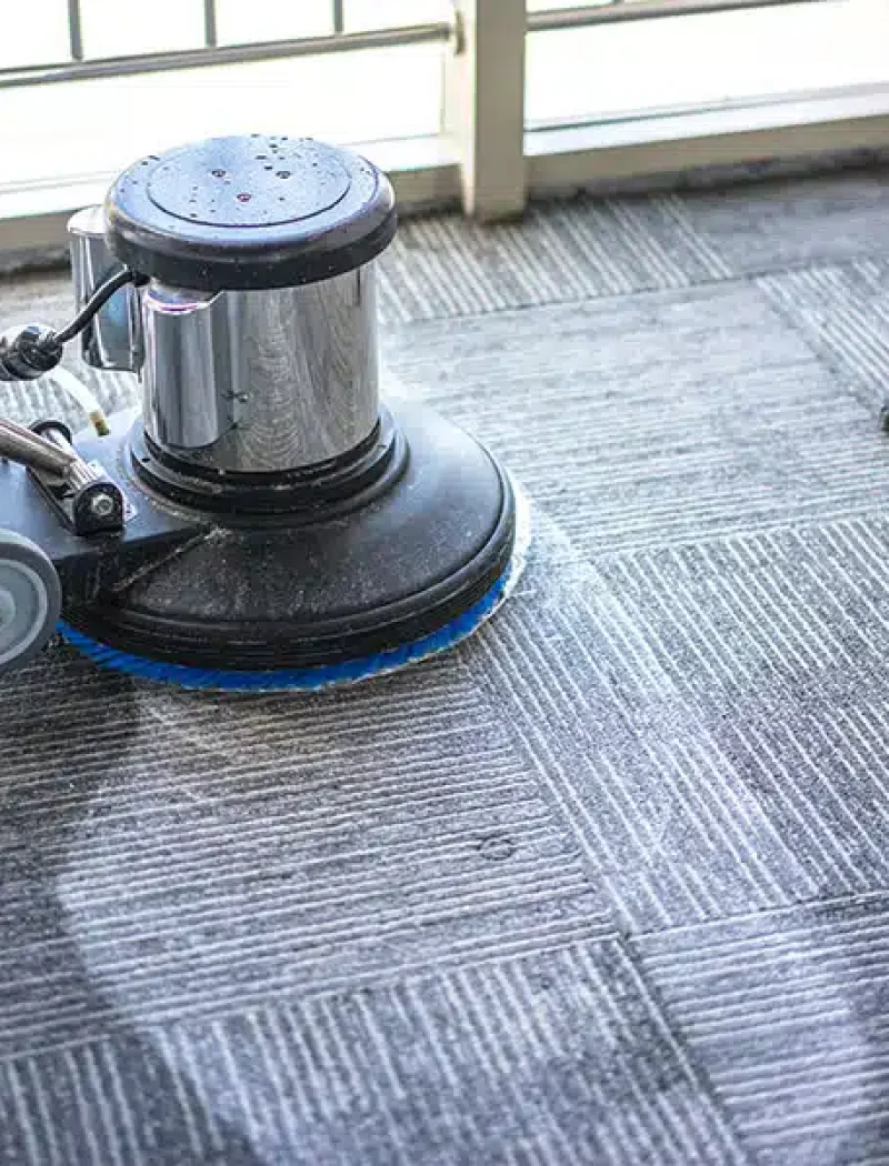 Rug-Cleaning-Experts-in-Chelmsford