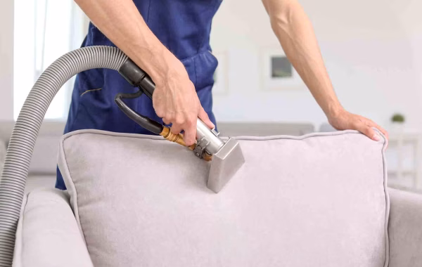 homeguide-professional-upholstery-cleaner-steam-cleaning-fabric-furniture